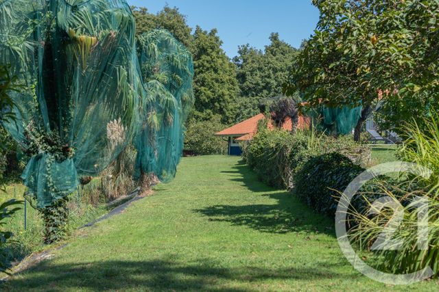 Maison &agrave; vendre - 7 pi&egrave;ces - 217 m2 - Benesse Maremne - 40 - AQUITAINE