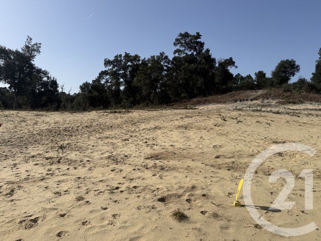 Terrain &agrave; vendre - 840 m2 - Labenne - 40 - AQUITAINE