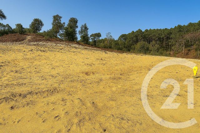 Terrain &agrave; vendre - 732 m2 - Labenne - 40 - AQUITAINE