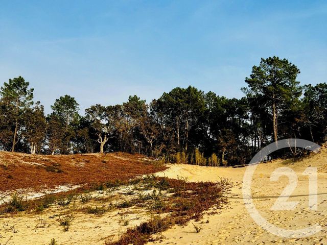 Terrain &agrave; vendre - 645 m2 - Labenne - 40 - AQUITAINE