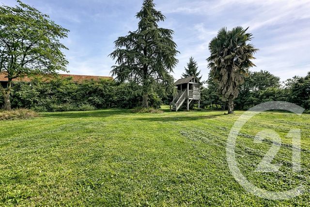 Maison &agrave; louer - 5 pi&egrave;ces - 222 m2 - Carquefou - 44 - PAYS-DE-LOIRE