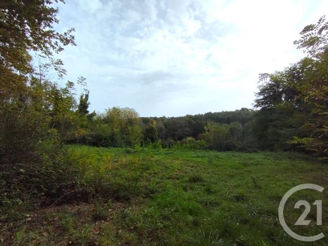 Terrain à vendre - 5098 m2 - Maurens - 24 - AQUITAINE