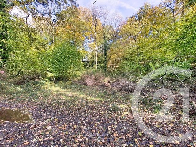 terrain - RENNEVILLE - 27