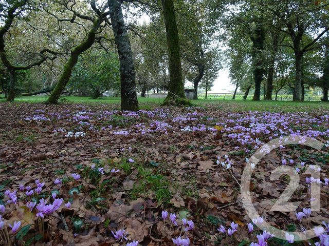 Maison &agrave; vendre - 6 pi&egrave;ces - 104 m2 - Cissac Medoc - 33 - AQUITAINE