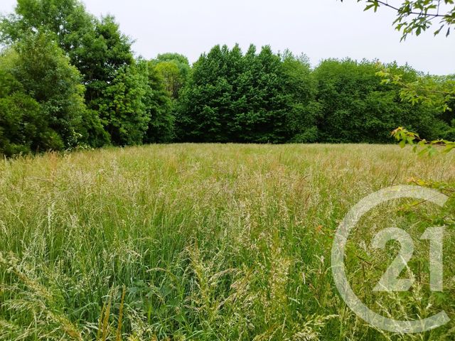 terrain - AMBLAINVILLE - 60