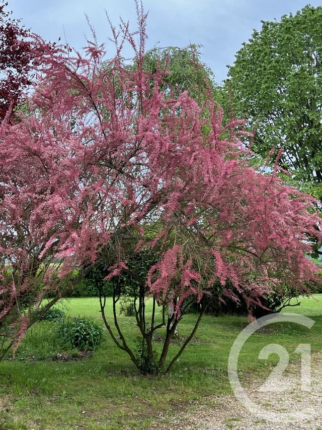 Maison à vendre - 7 pièces - 180 m2 - Marines - 95 - ILE-DE-FRANCE