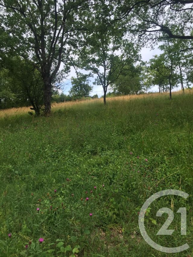 Terrain &agrave; vendre - 5850 m2 - St Projet - 46 - MIDI-PYRENEES