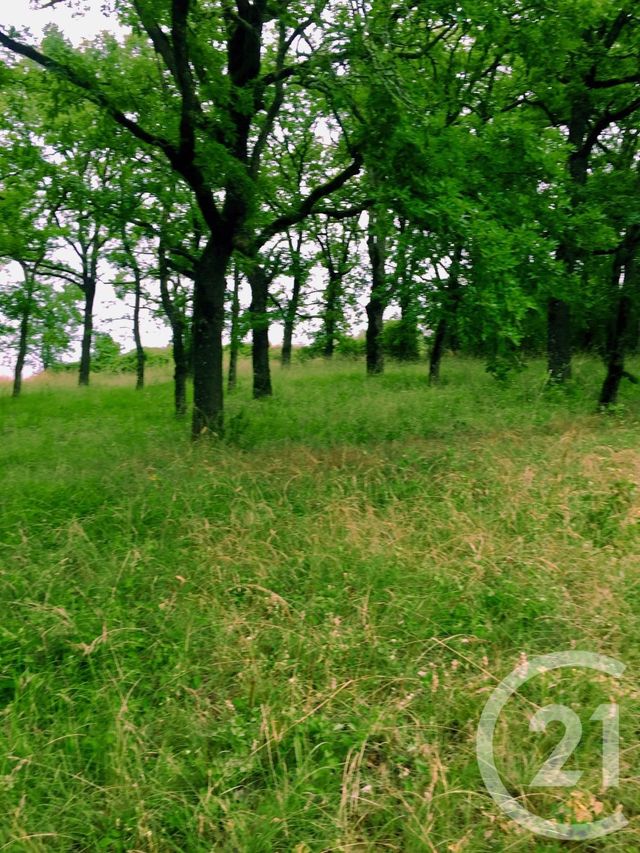 Terrain &agrave; vendre - 5850 m2 - St Projet - 46 - MIDI-PYRENEES