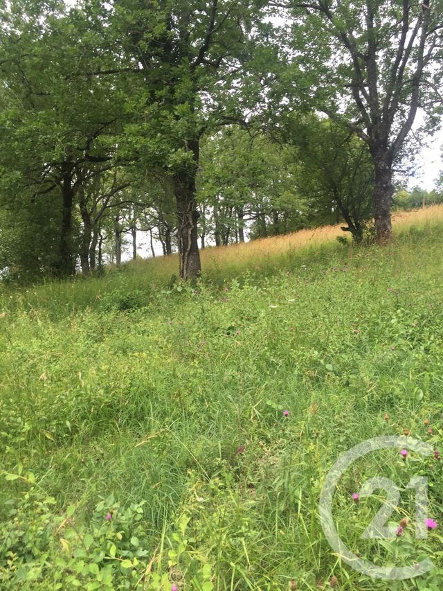 Terrain &agrave; vendre - 5850 m2 - St Projet - 46 - MIDI-PYRENEES