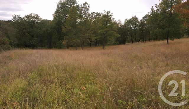 Terrain &agrave; vendre - 5850 m2 - St Projet - 46 - MIDI-PYRENEES