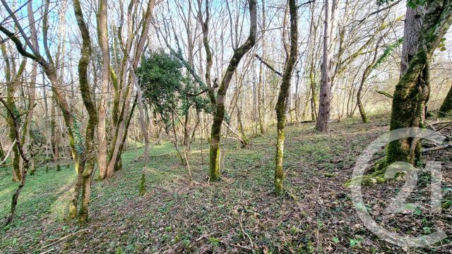 Terrain à vendre - 4546 m2 - Daglan - 24 - AQUITAINE