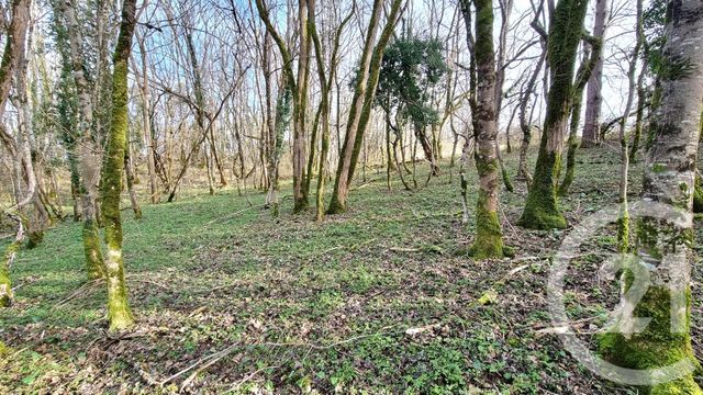 Terrain à vendre - 4546 m2 - Daglan - 24 - AQUITAINE