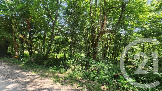 Terrain &agrave; vendre - 4900 m2 - Le Vigan En Quercy - 46 - MIDI-PYRENEES