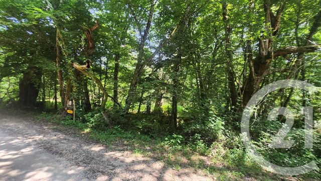 Terrain &agrave; vendre - 4900 m2 - Le Vigan En Quercy - 46 - MIDI-PYRENEES