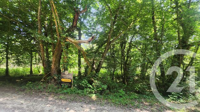 Terrain &agrave; vendre - 4900 m2 - Le Vigan En Quercy - 46 - MIDI-PYRENEES