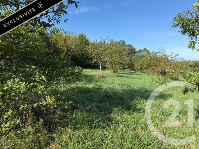 Terrain &agrave; vendre - 2971 m2 - Le Vigan En Quercy - 46 - MIDI-PYRENEES