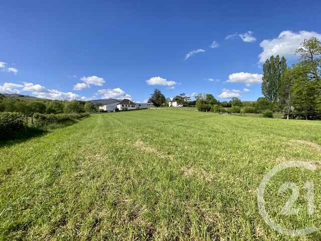 Terrain &agrave; vendre - 5130 m2 - Ordiarp - 64 - AQUITAINE