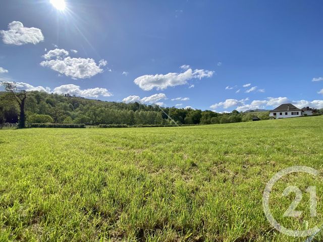 Terrain &agrave; vendre - 5130 m2 - Ordiarp - 64 - AQUITAINE
