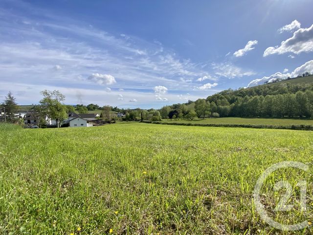 Terrain &agrave; vendre - 5130 m2 - Ordiarp - 64 - AQUITAINE