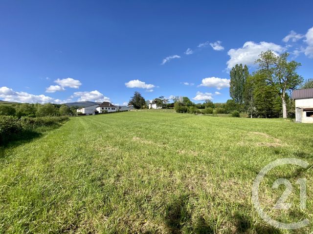 Terrain &agrave; vendre - 5130 m2 - Ordiarp - 64 - AQUITAINE