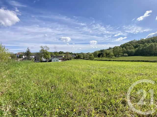 Terrain &agrave; vendre - 5130 m2 - Ordiarp - 64 - AQUITAINE