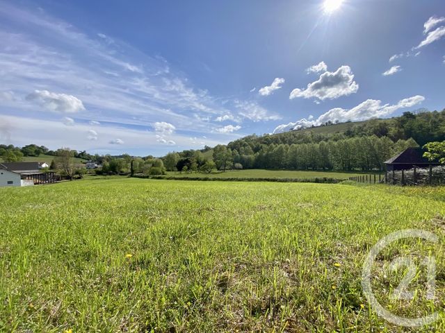 Terrain &agrave; vendre - 5130 m2 - Ordiarp - 64 - AQUITAINE