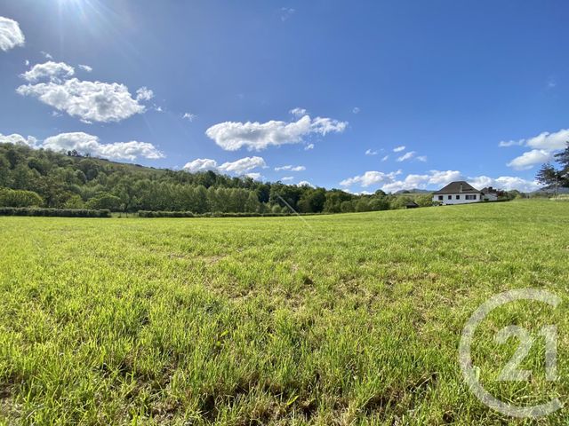 Terrain &agrave; vendre - 5130 m2 - Ordiarp - 64 - AQUITAINE