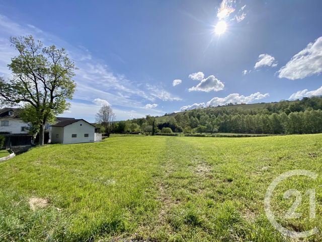 Terrain &agrave; vendre - 5130 m2 - Ordiarp - 64 - AQUITAINE