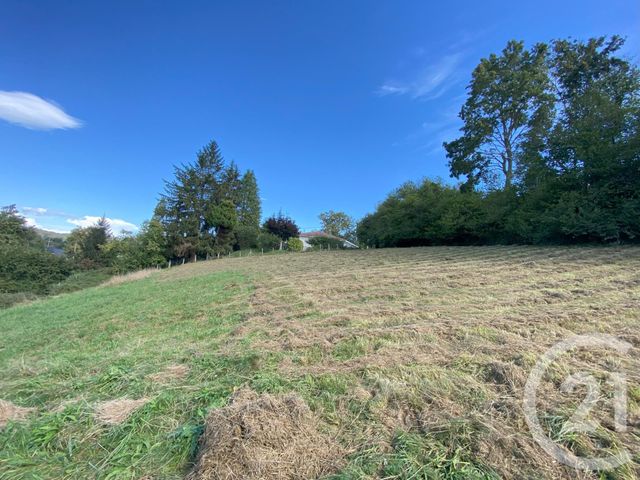 Terrain &agrave; vendre - 3250 m2 - Cheraute - 64 - AQUITAINE
