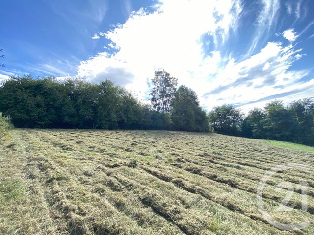 Terrain &agrave; vendre - 3250 m2 - Cheraute - 64 - AQUITAINE