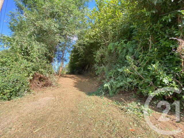 Terrain &agrave; vendre - 3250 m2 - Cheraute - 64 - AQUITAINE