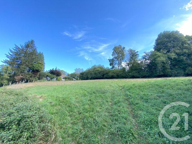 Terrain &agrave; vendre - 3250 m2 - Cheraute - 64 - AQUITAINE