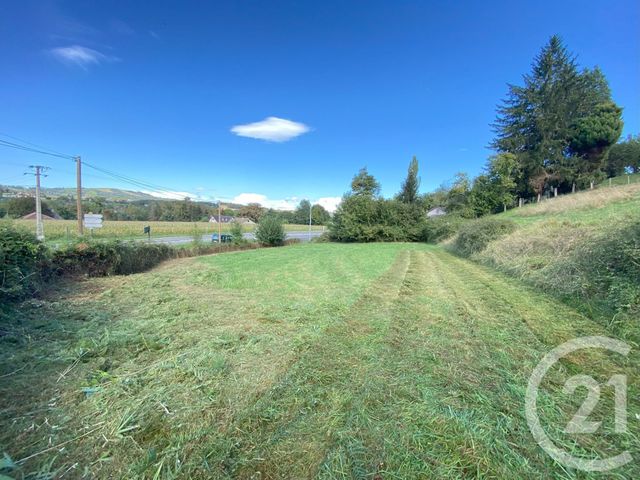 Terrain &agrave; vendre - 3250 m2 - Cheraute - 64 - AQUITAINE