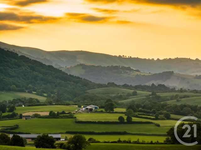 Maison à vendre - 8 pièces - 161 m2 - Ossas Suhare - 64 - AQUITAINE