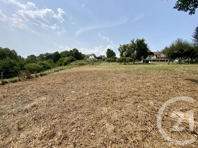 terrain - LANNE EN BARETOUS - 64