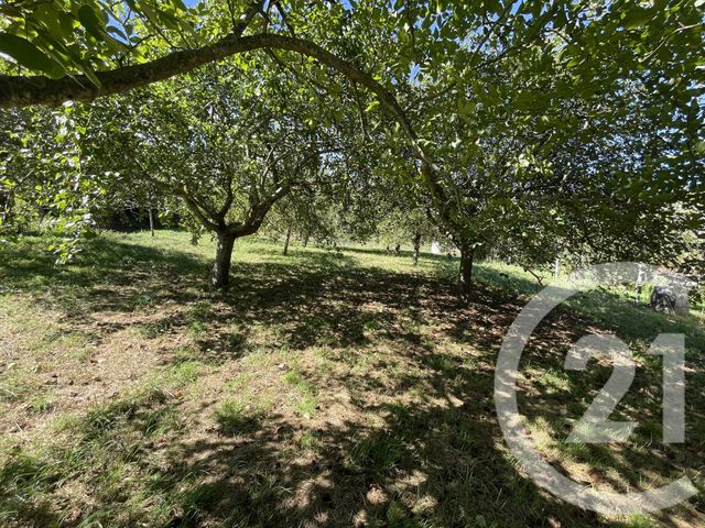 Terrain &agrave; vendre - 1021 m2 - Alcay Alcabehety Sunharette - 64 - AQUITAINE