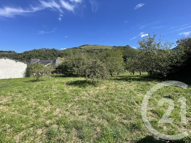 terrain - ALCAY ALCABEHETY SUNHARETTE - 64