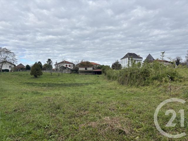 terrain - DOMEZAIN BERRAUTE - 64