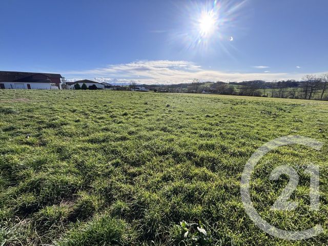 Terrain à vendre LABETS BISCAY