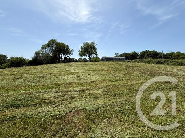 Terrain &agrave; vendre - 2500 m2 - Esquiule - 64 - AQUITAINE