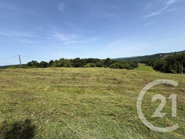 Terrain &agrave; vendre - 2500 m2 - Esquiule - 64 - AQUITAINE