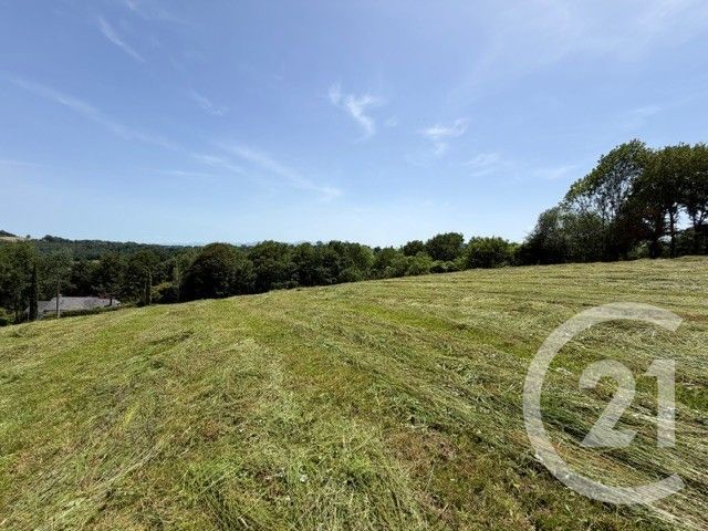 Terrain &agrave; vendre - 2500 m2 - Esquiule - 64 - AQUITAINE