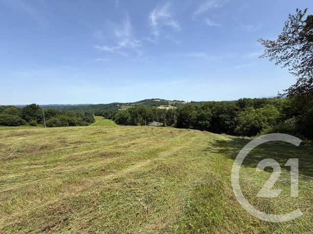 Terrain &agrave; vendre - 3841 m2 - Esquiule - 64 - AQUITAINE