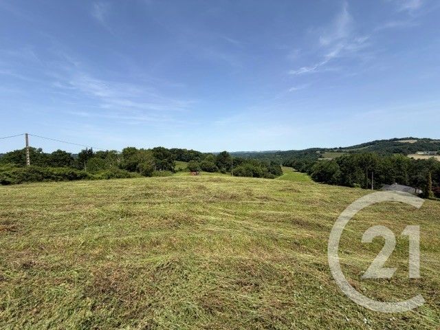Terrain &agrave; vendre - 3841 m2 - Esquiule - 64 - AQUITAINE