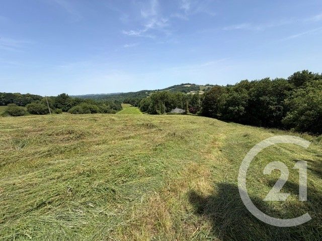 Terrain &agrave; vendre - 3841 m2 - Esquiule - 64 - AQUITAINE
