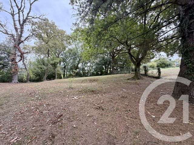 Maison &agrave; vendre - 6 pi&egrave;ces - 115 m2 - Cheraute - 64 - AQUITAINE