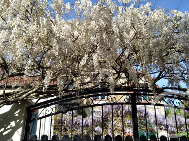 Maison &agrave; vendre - 5 pi&egrave;ces - 98,39 m2 - Chatou - 78 - ILE-DE-FRANCE