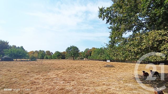 Maison à vendre - 5 pièces - 162 m2 - Lacourt St Pierre - 82 - MIDI-PYRENEES