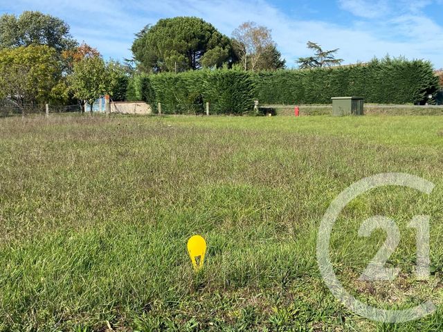 terrain - ORGUEIL - 82