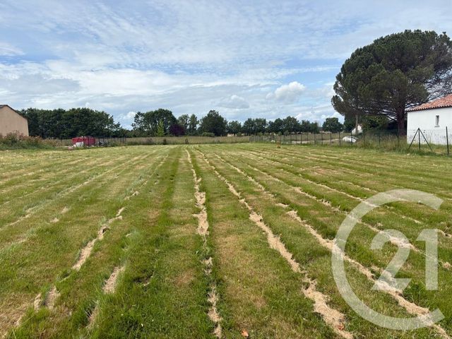 terrain - LACOURT ST PIERRE - 82